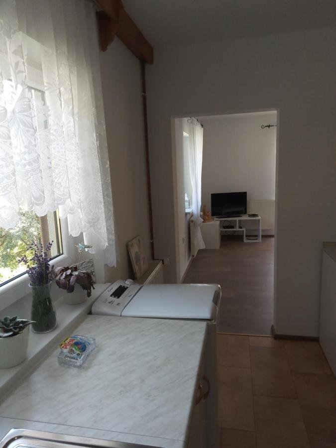 Apartment With A View Bohinjska Bistrica Dış mekan fotoğraf